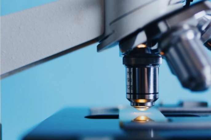 Screening and selection of clinical trial bases